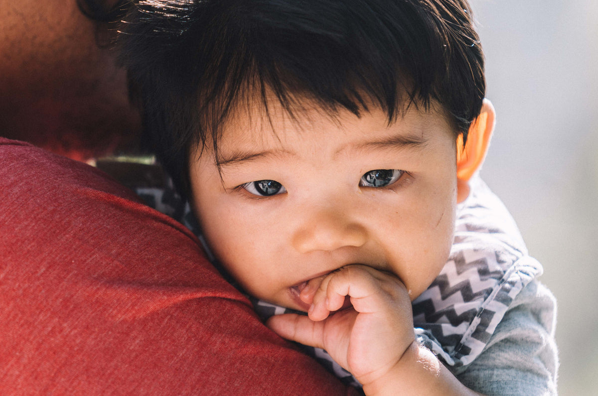 Best Baby Carrier for Back Support