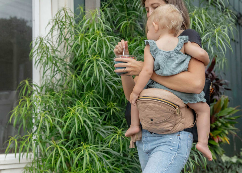 Chicco Sidekick vs Tushbaby