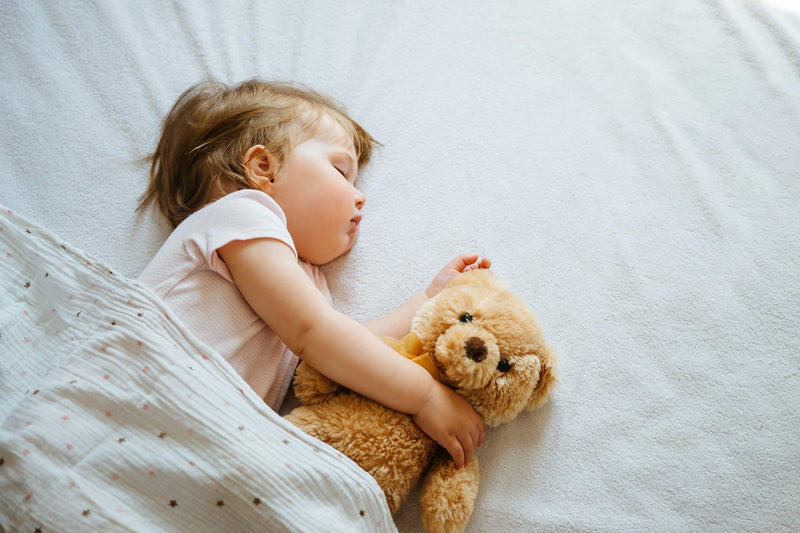handling baby & toddler sleep regression 