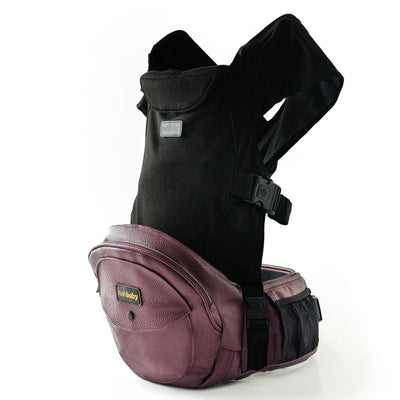 2-in-1 Convertible Carrier