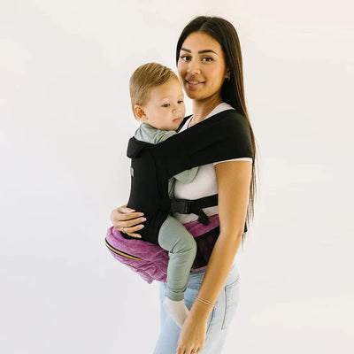 Tushbaby Hip Carrier