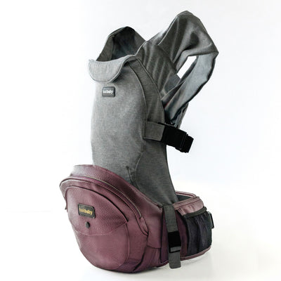 2-in-1 Convertible Carrier