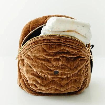Tushbaby Hip Carrier