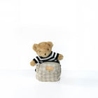 Toy Tushbaby Doll Carrier