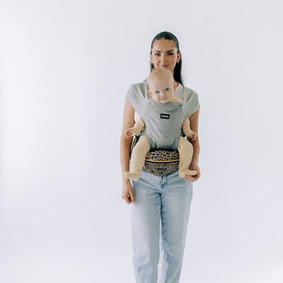 2-in-1 Convertible Carrier