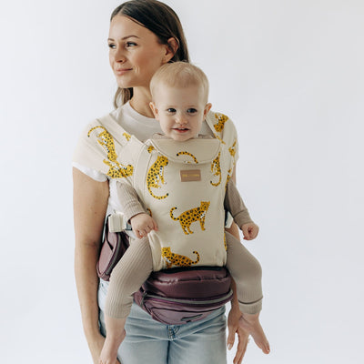 2-in-1 Combo Carrier