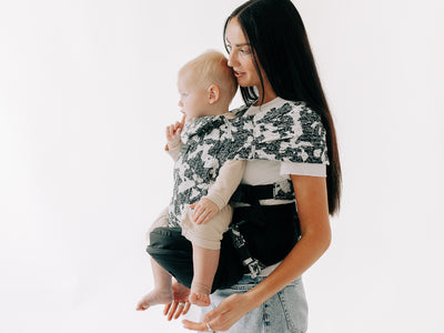 2-in-1 Convertible Carrier
