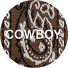 Cowboy