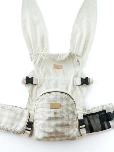 2-in-1 Convertible Carrier