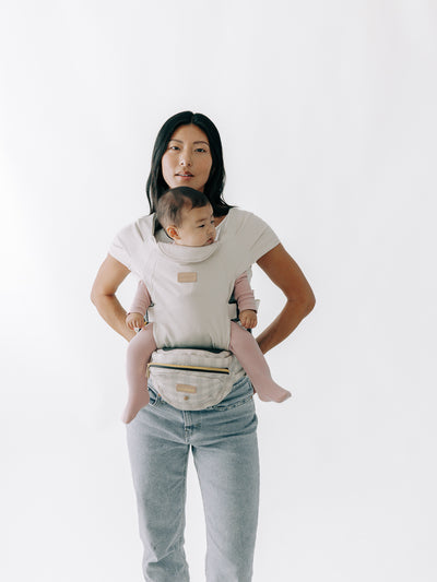 2-in-1 Convertible Carrier