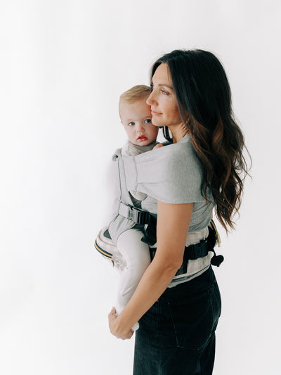 2-in-1 Convertible Carrier