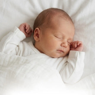 Newborn (0-3 Months)
