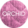 Orchid