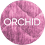 Orchid