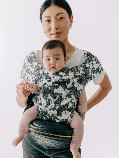 2-in-1 Convertible Carrier