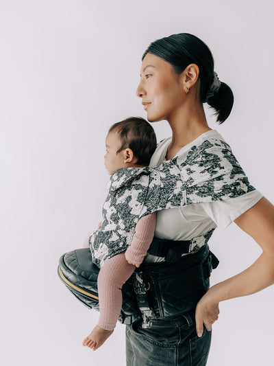 2-in-1 Convertible Carrier